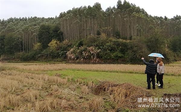 德州市陈老师带着爱徒寻龙点穴